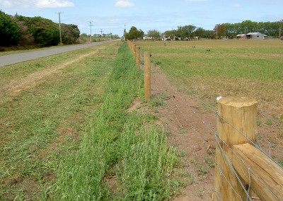 Rural fencing Canterbury